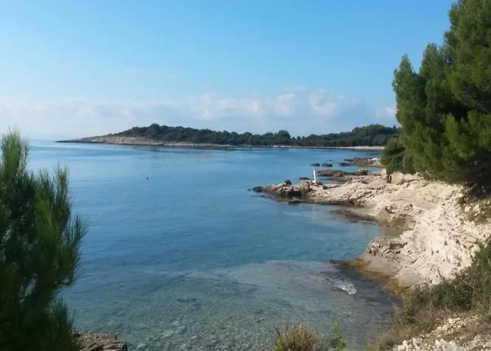 Feriehus Mobile In With Pool Near *